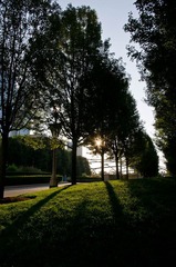 Park 晨