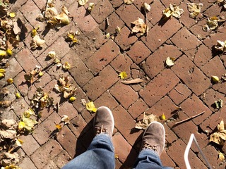 P1000009.jpg