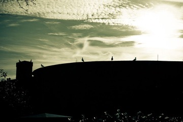 20111126-IMGP3201.jpg
