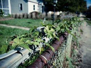 20111106-P1000804.jpg
