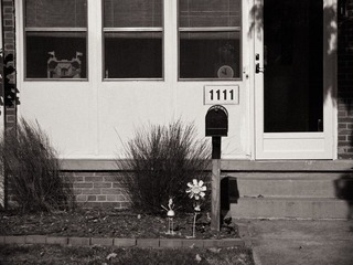 20111106-P1000808.jpg