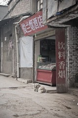 20120112-IMGP5507.jpg