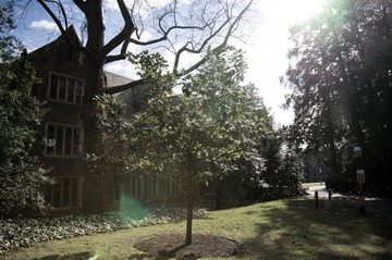 20120227-IMGP5902.jpg