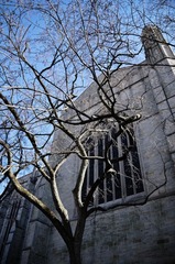 20120227-P1010374.jpg