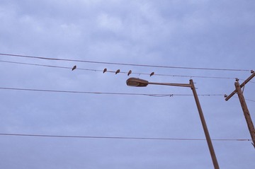 20120303-IMGP6467.jpg