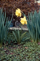 20120305-IMGP6643.jpg