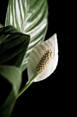 20120307-IMGP6702.jpg