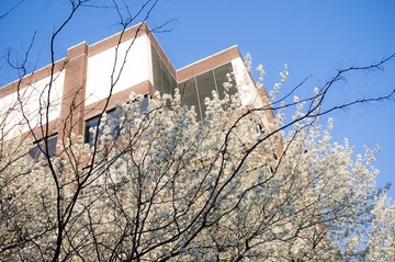 20120318-IMGP7020.jpg