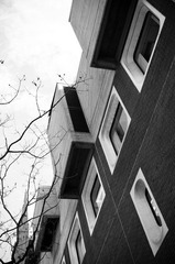 20120328-IMGP7202.jpg