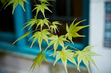 20120331-IMGP7362.jpg
