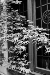 20120331-IMGP7365-编辑.jpg