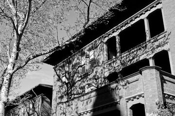20120405-IMGP7518.jpg