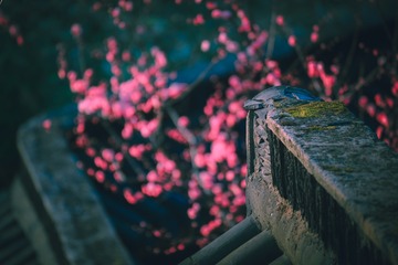 556928