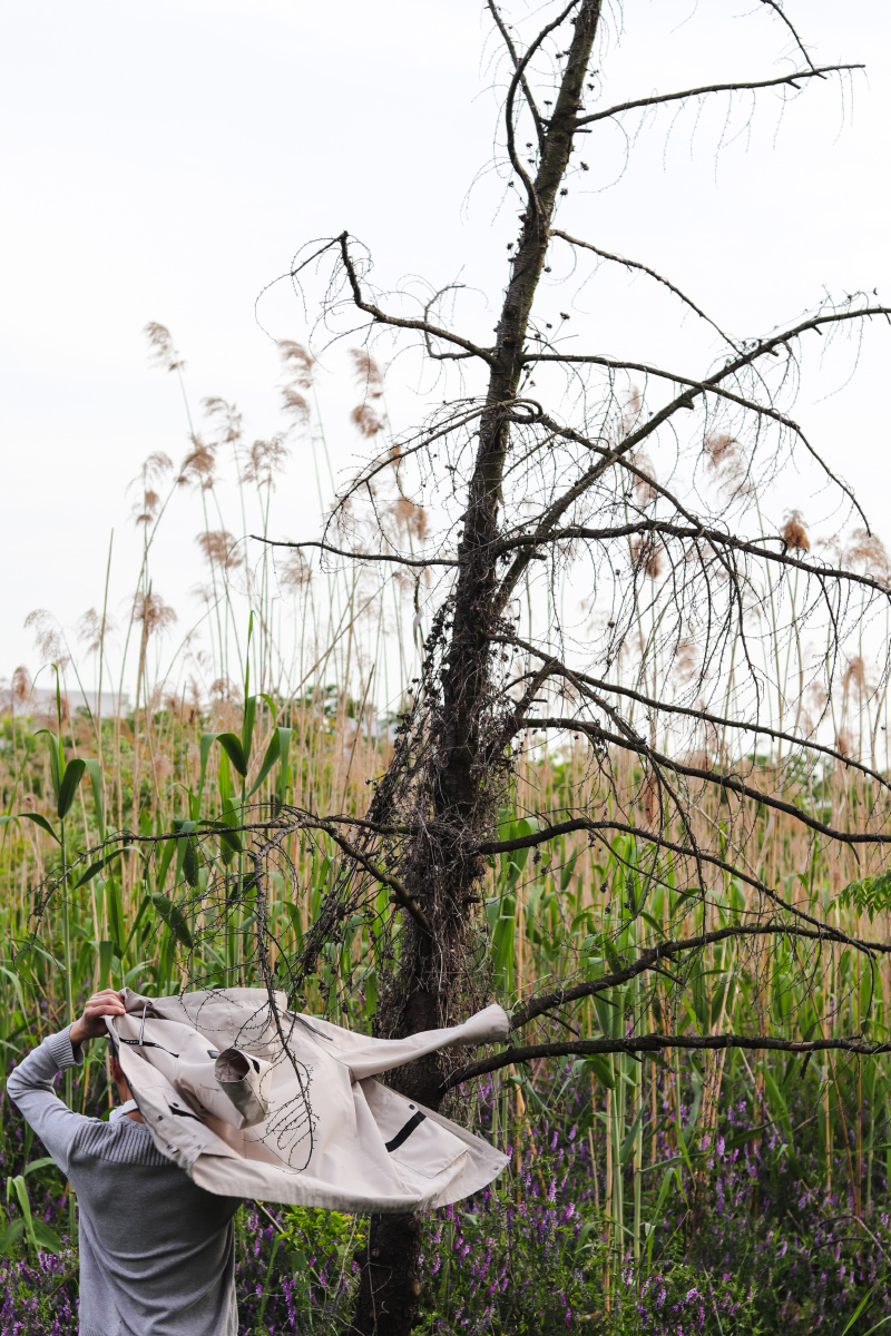 《枯萎》 2021年 安徽 枯萎的树和鲜活的人