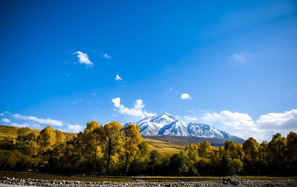 祁连县附近的牛欣山，海拔5000多好像。
