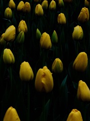 4F02944C-BAA4-43E1-BC8C-EA1FDCCD34DC/L0/001