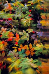 96C3D6D2-6CC8-4256-B9A8-713313EA26AC/L0/001