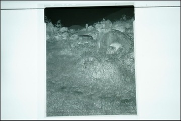 翻拍45底片---21