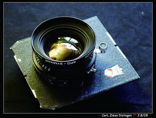 SCHNEIDER 150mm/5.6  APO镜头