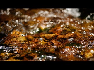 水的写意---4
