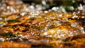 水的写意---2