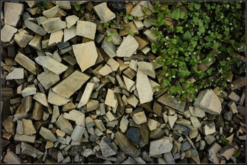 DSC05379.JPG