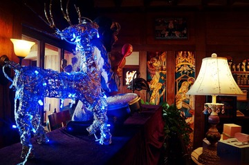 DSC02498_