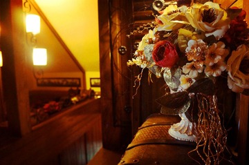 DSC02537_