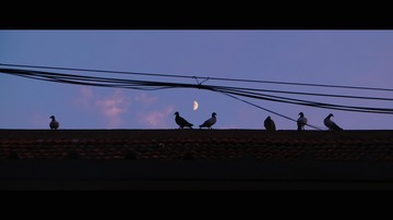 D9566308-5F5C-4137-88BF-8149256B0729/L0/001