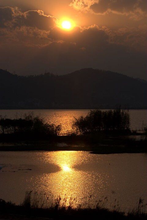 IMG_1607_光影_1<br />
春城滇池的海埂大坝,长提、湿地、茂密的树林,是市民的休闲新景地。