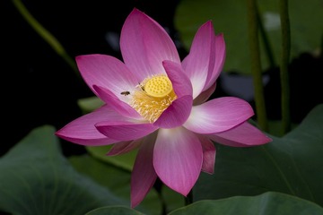 IMG_3275_1