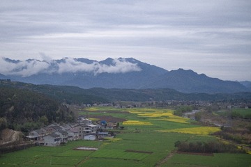 187069