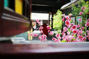 IMG_0485-01