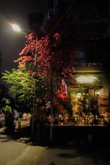 DSC00136 - 版本 2