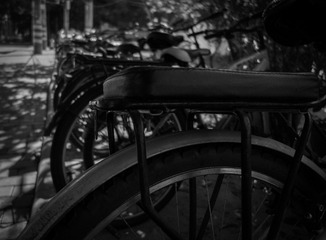 _DSC4571
