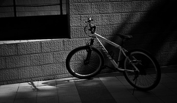 _DSC4574