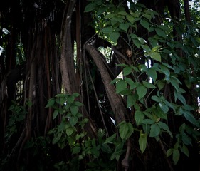 _DSC4577