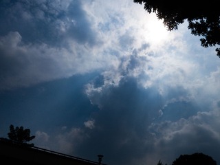 _DSC4230-2