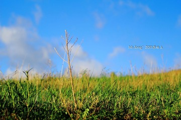 【坝上小景】NO.3