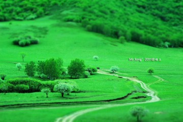 【坝上小景】NO.7