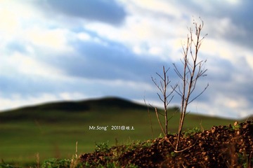 【坝上小景】NO.9