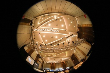 A91I9365-1.jpg