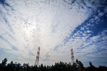 _DSC1333.jpg