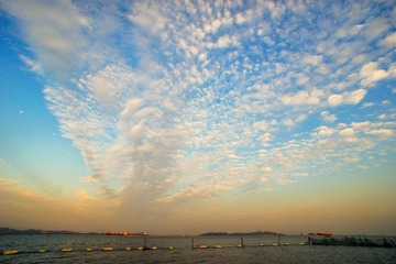 _DSC1461.jpg