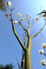 DSCF7914_旋转.JPG