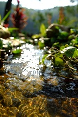 DSCF7938.JPG