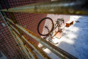 DSCF4017.jpg