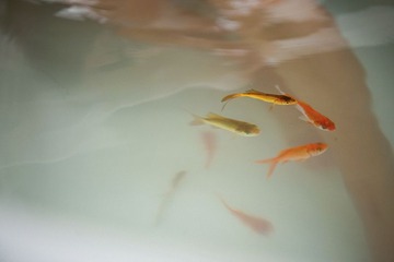 DSC_8506 拷贝