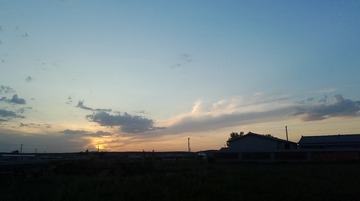 1647375