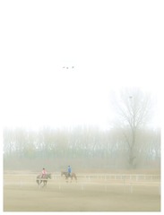 fly9